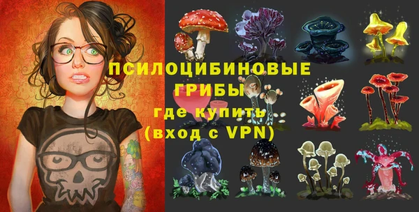 кокс Алзамай