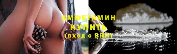 шишки Алексеевка