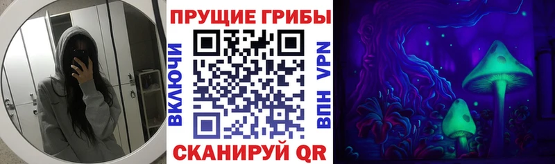 Галлюциногенные грибы Psilocybe Юхнов
